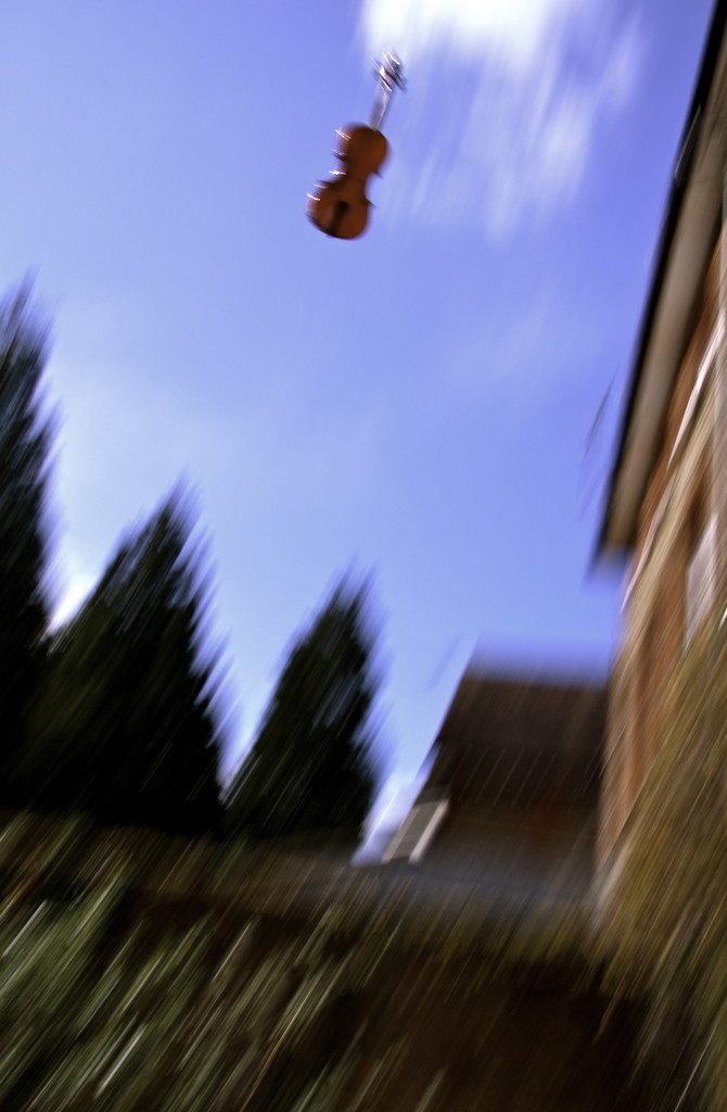 March 21 2010-IMG_0057